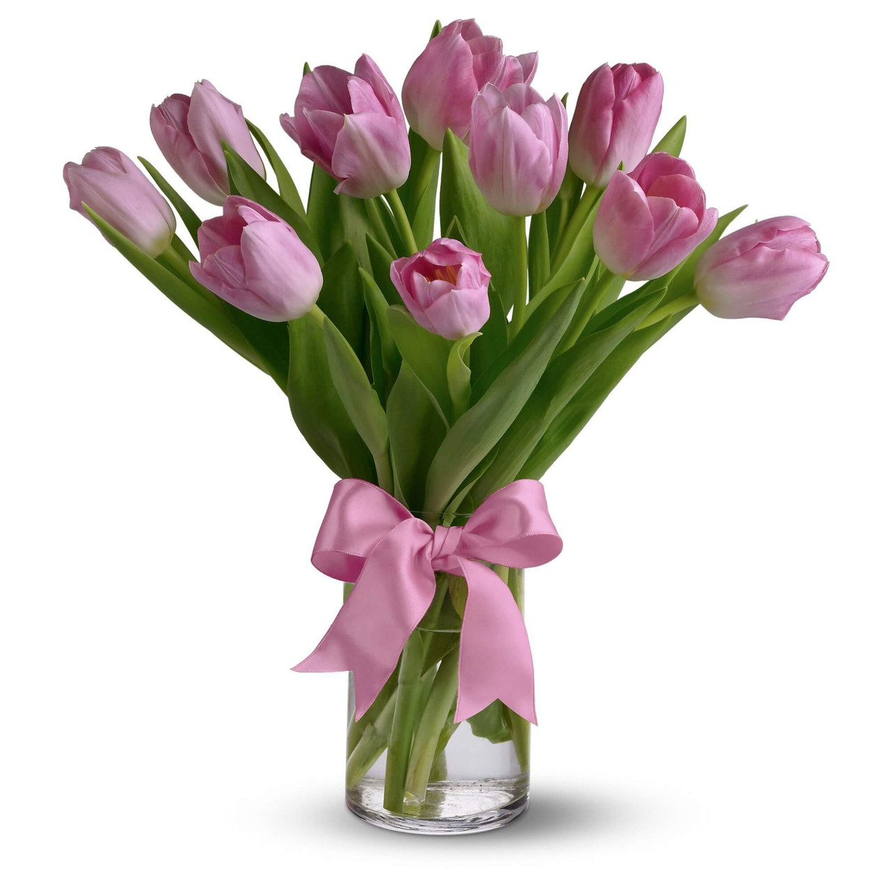 10 Pink Tulips