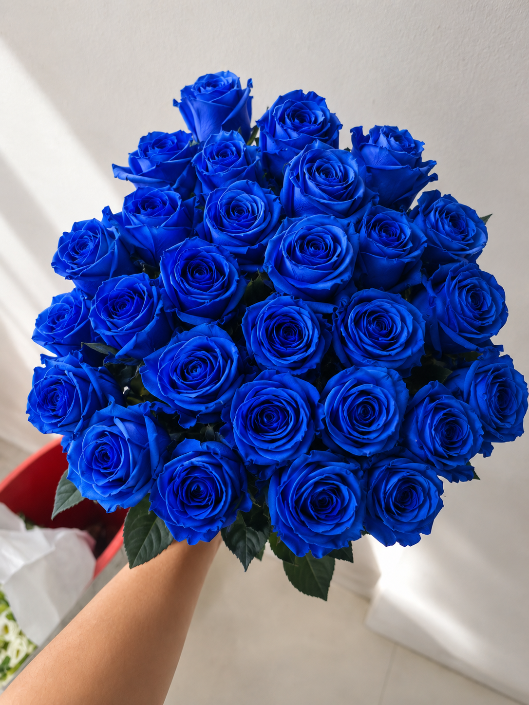 Blue Ecuadorian Roses