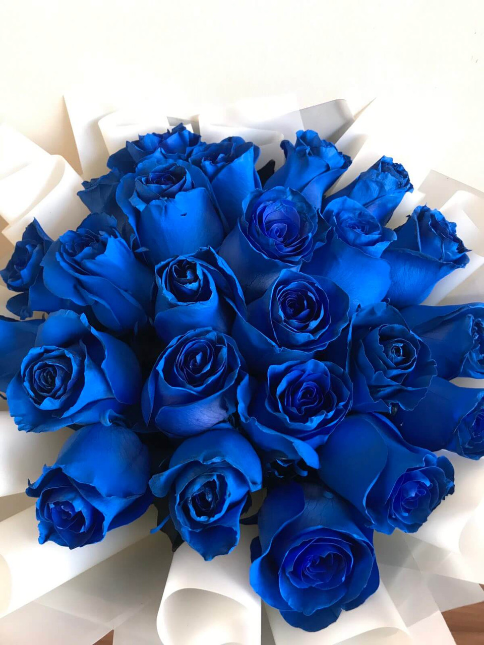 Blue Roses Philippines