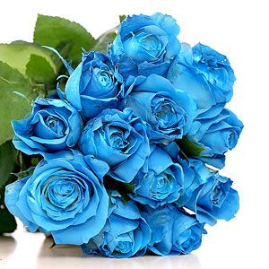 Blue Roses