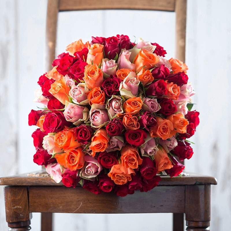 Ecuadorian Roses