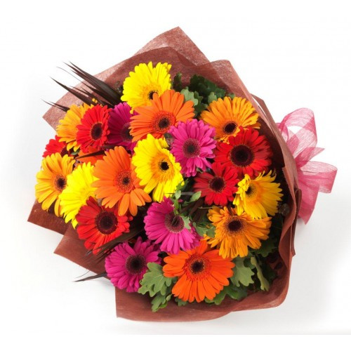 Assorted Gerberas Bouquet