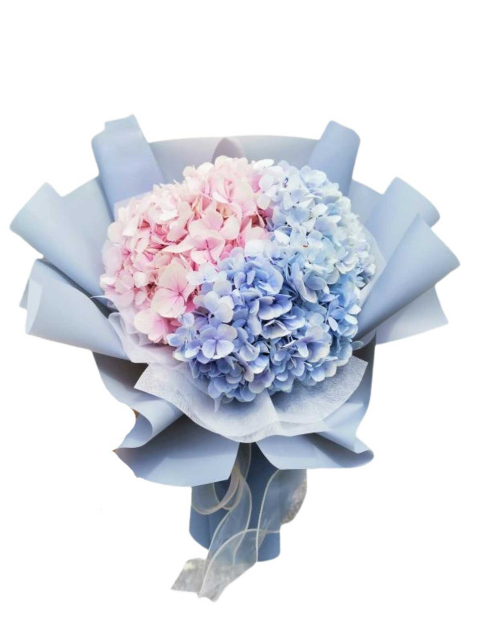 Hydrangeas Bouquet