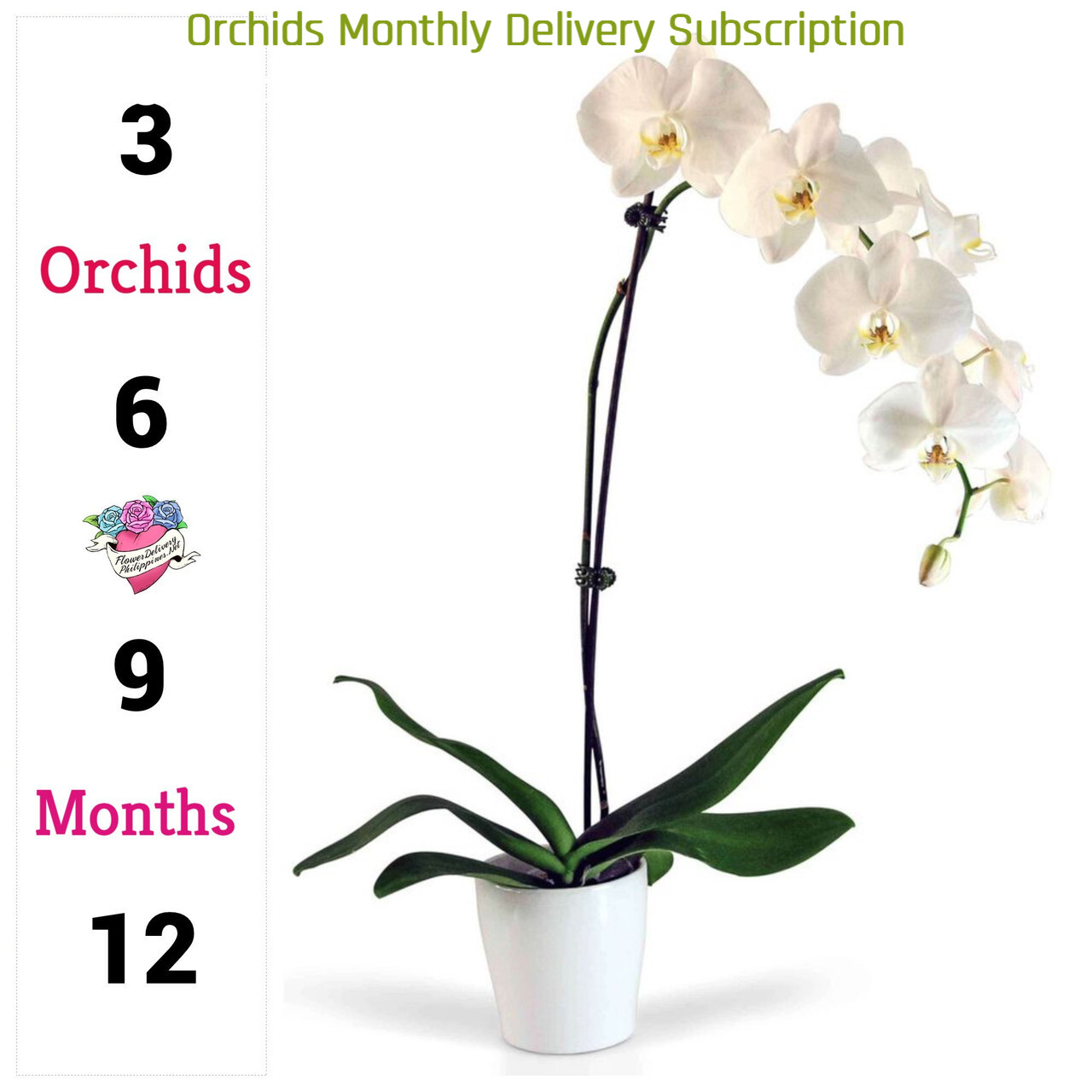 Orchids Monthly Delivery Subscription Philippines