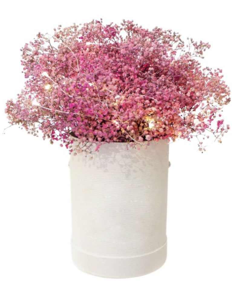 Boxed Pink Baby's Breath Fairy Lights Manila Delivery