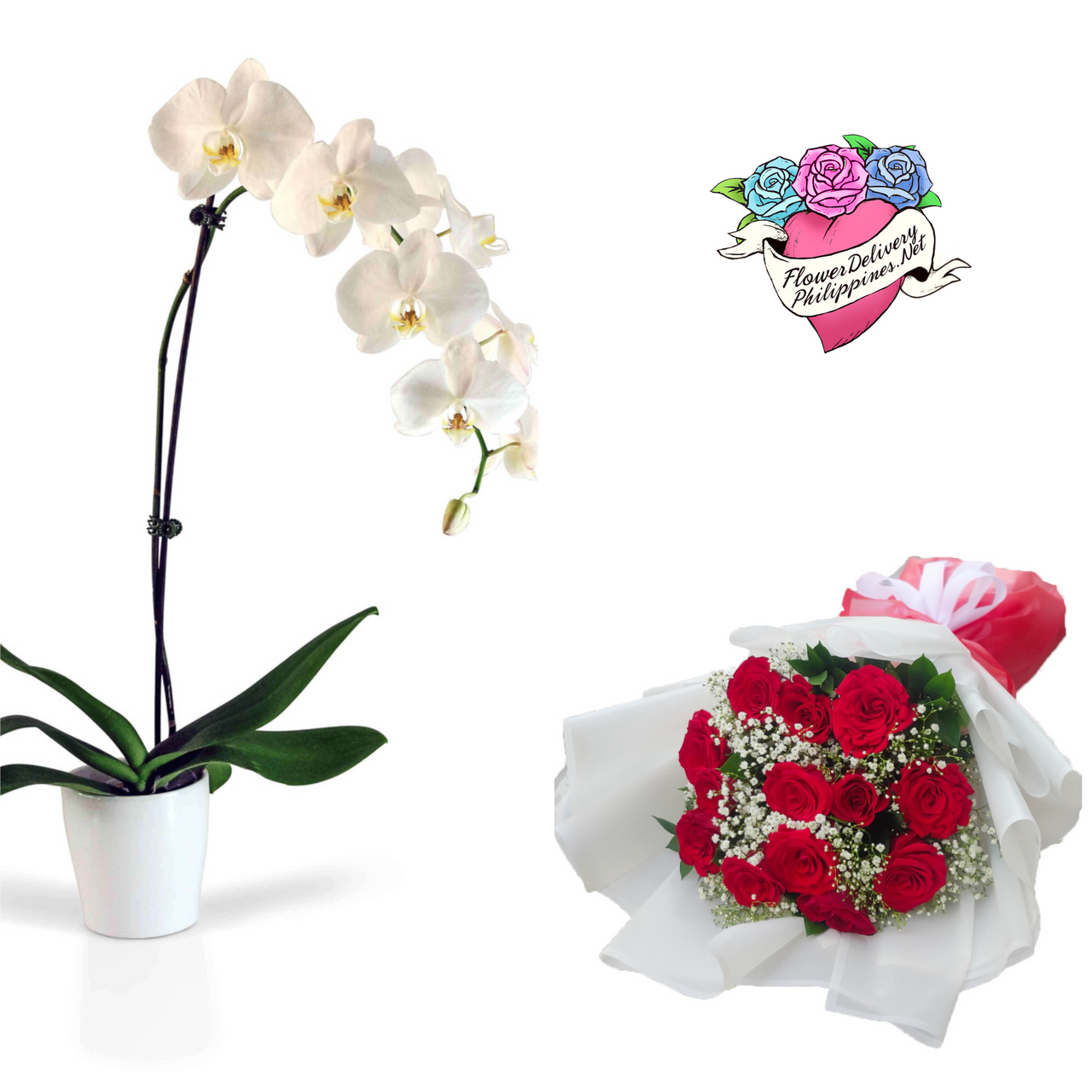 Orchid Roses Package
