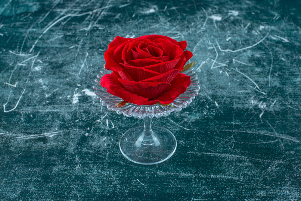 Red Preserved Rose