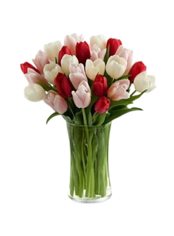 I love you Red Pink and White Tulips