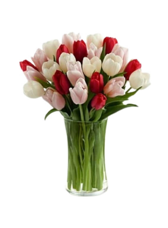 Assorted Tulips