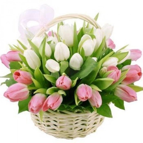 Tulips Basket