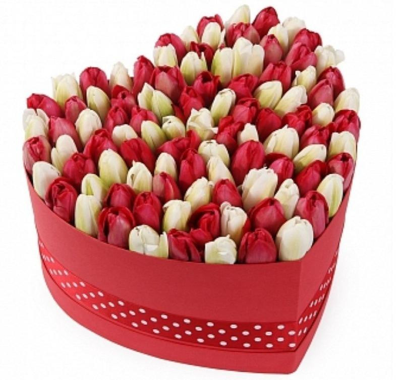 Valentine's Tulips