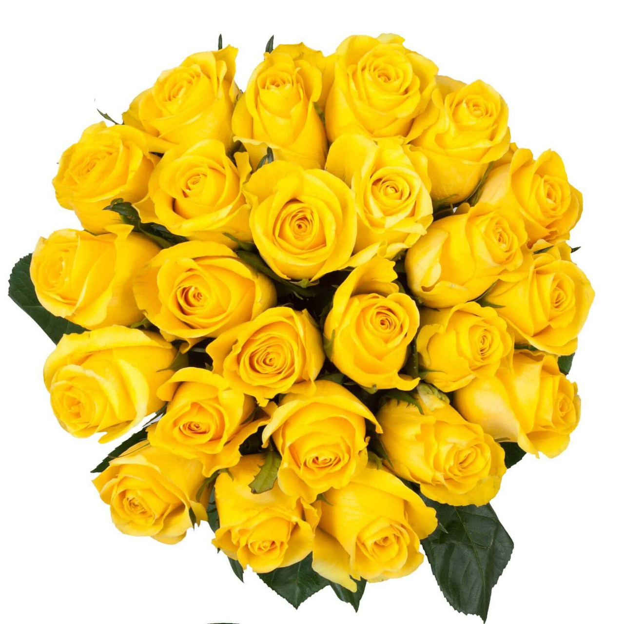 Yellow Ecuadorian Roses